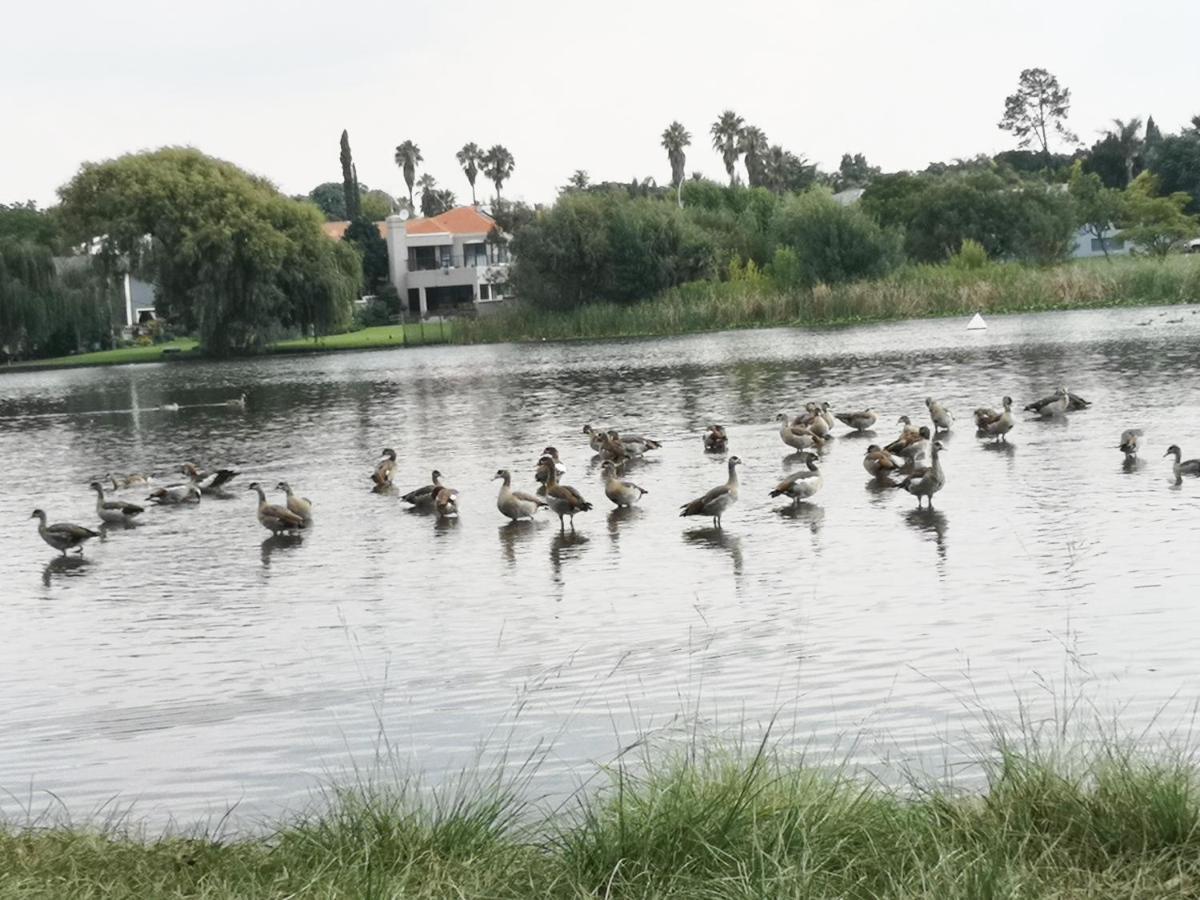 بينوني Southy Inn By The Lake المظهر الخارجي الصورة
